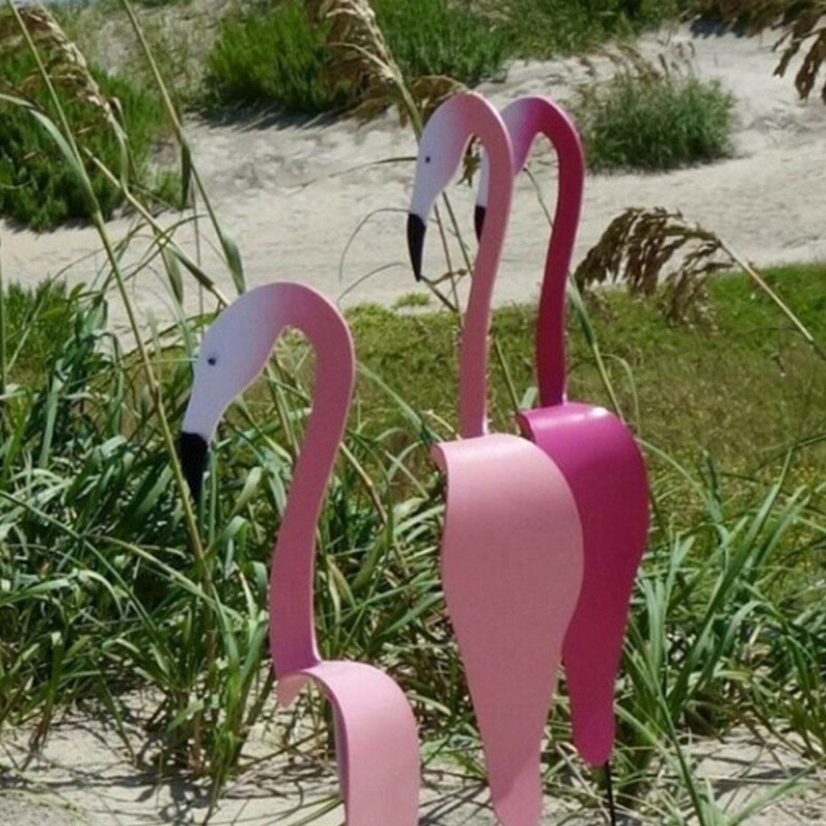 Gardenia Oasis™️ Garden flamingo