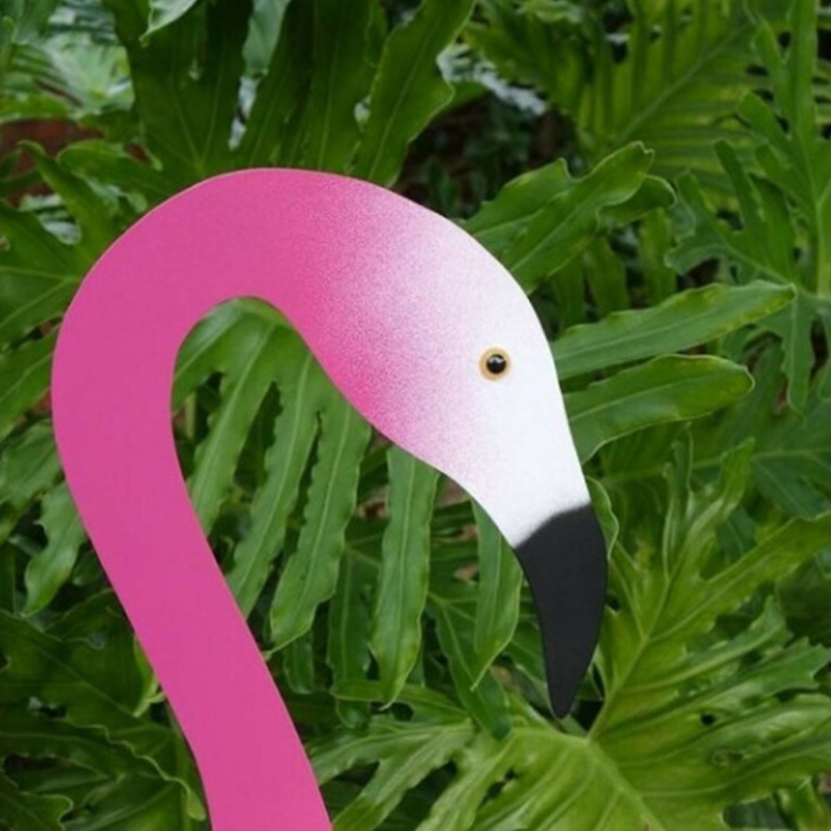 Gardenia Oasis™️ Garden flamingo