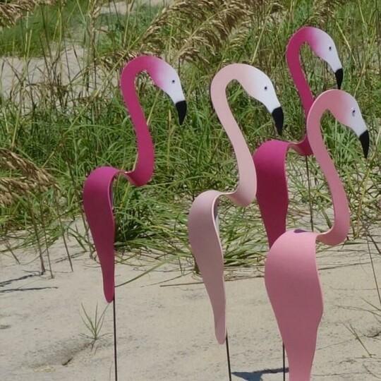 Gardenia Oasis™️ Garden flamingo