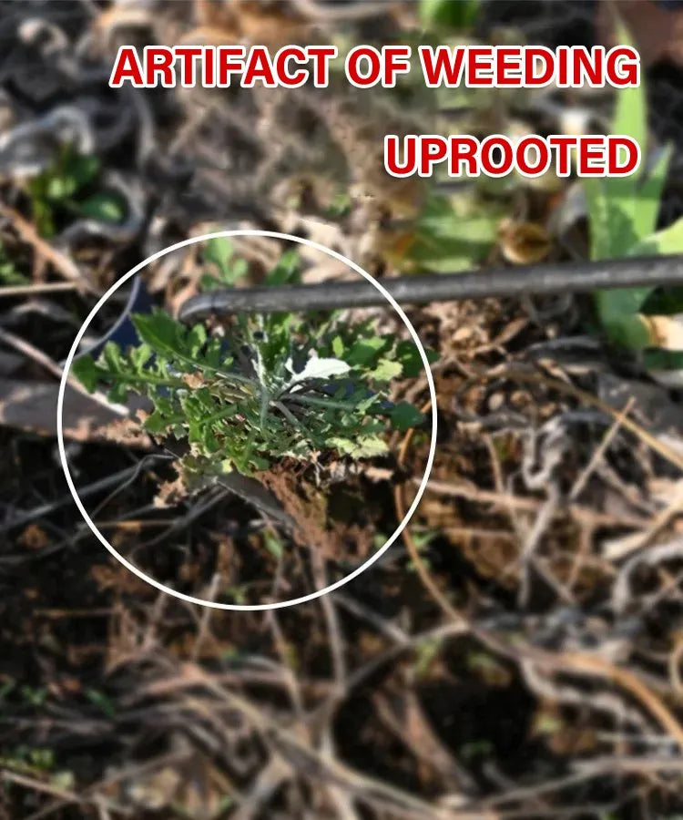 PurePluck™ Weed moth