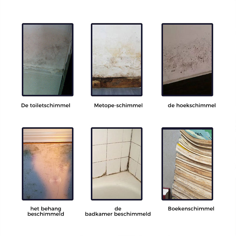 MoldCleaner Pro™️ Remove mold in seconds!