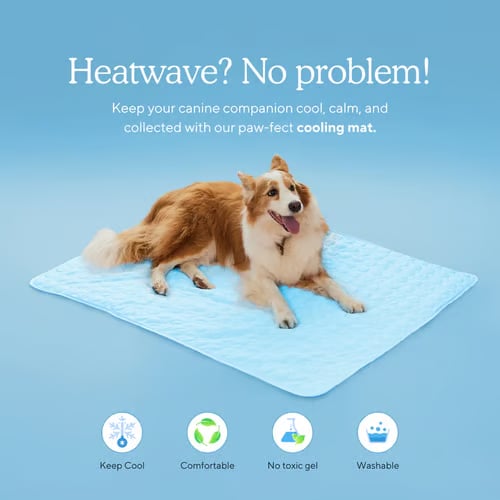 CoolPetz™ Dog Cooling Mat
