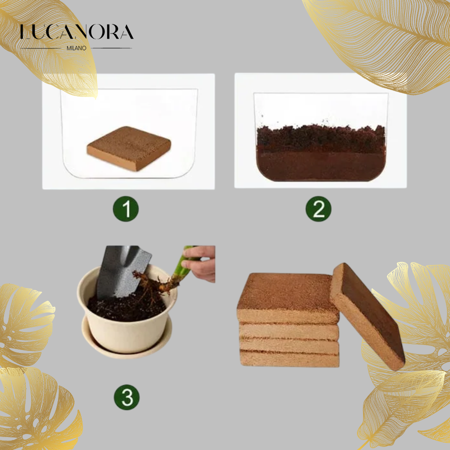 EcoBloom™ Premium Organic Coconut Bricks for Plants