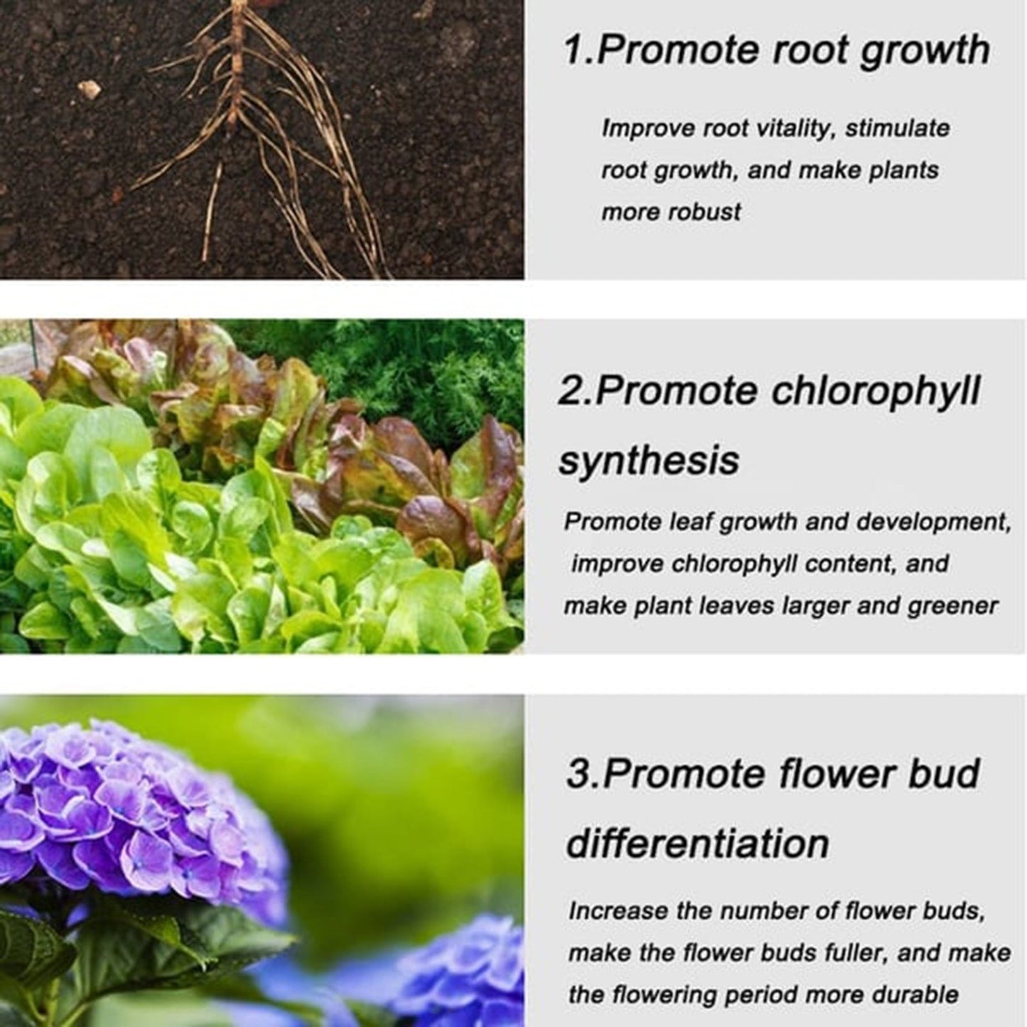 VegiBloom™ Natural tablets for growing plants