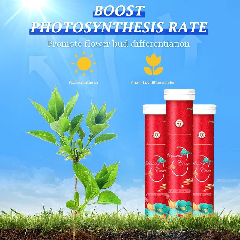 VegiBloom™ Natural tablets for growing plants