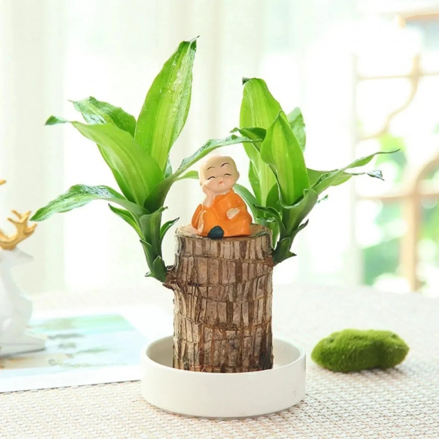 LuckyWood™ Wooden plant in a pot