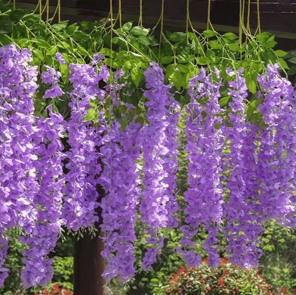 Wisteria™ Artificial wisteria flowers 12 pieces