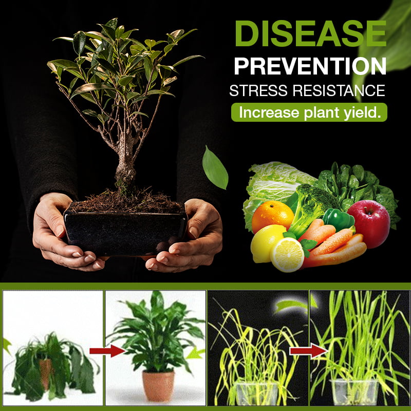 Soil Treasure™️ Comprehensive regulation of plant growth and development!