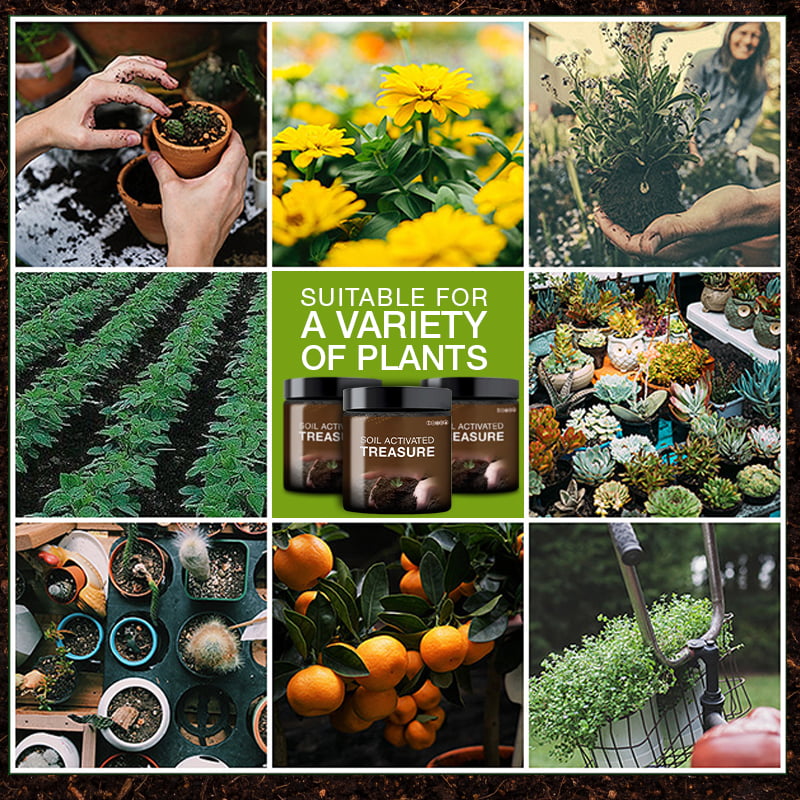 Soil Treasure™️ Comprehensive regulation of plant growth and development!