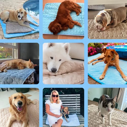 CoolPetz™ Dog Cooling Mat