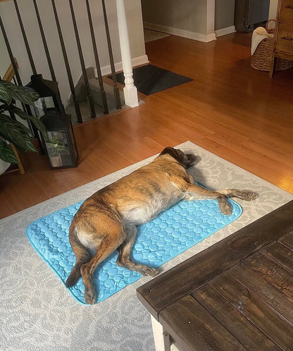 CoolPetz™ Dog Cooling Mat