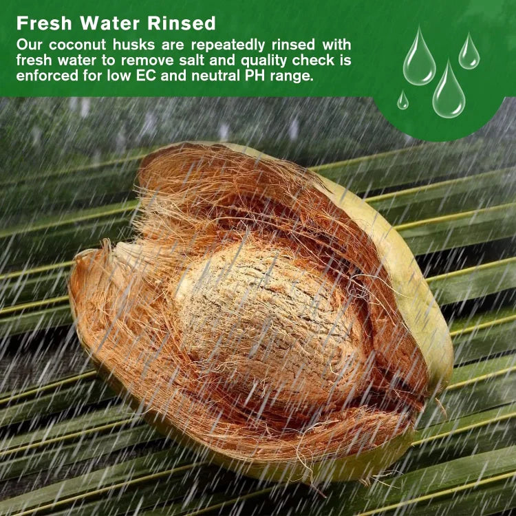 EcoBloom™ Premium Organic Coconut Bricks for Plants