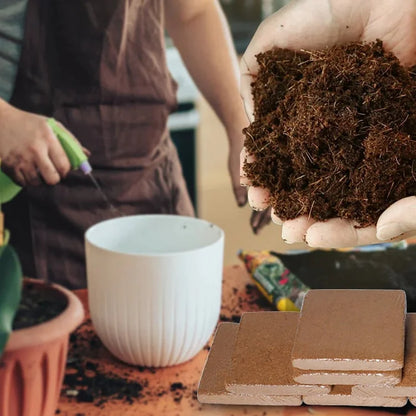 EcoBloom™ Premium Organic Coconut Bricks for Plants