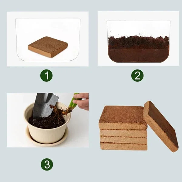 EcoBloom™ Premium Organic Coconut Bricks for Plants