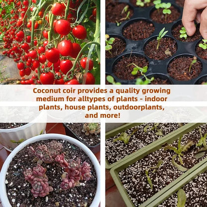 EcoBloom™ Premium Organic Coconut Bricks for Plants