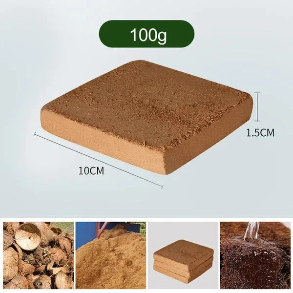 EcoBloom™ Premium Organic Coconut Bricks for Plants