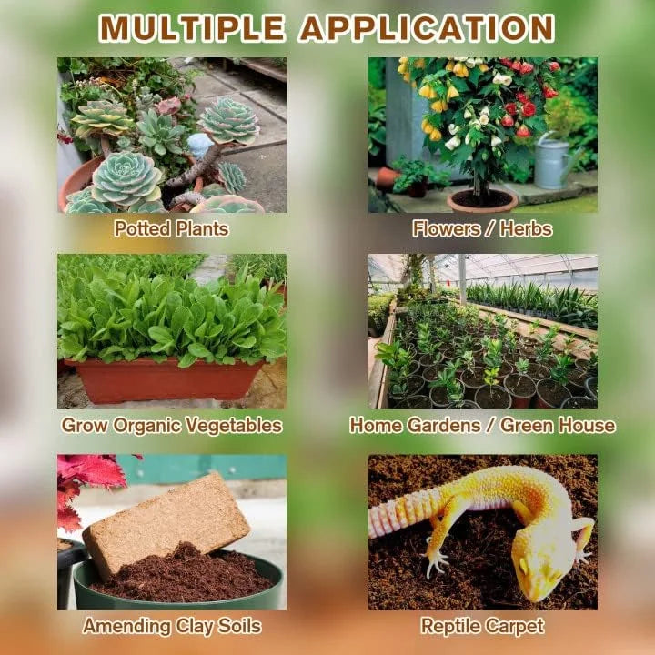 EcoBloom™ Premium Organic Coconut Bricks for Plants