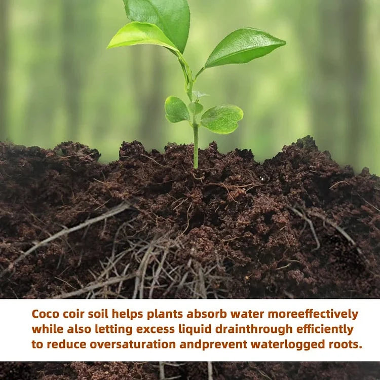 EcoBloom™ Premium Organic Coconut Bricks for Plants