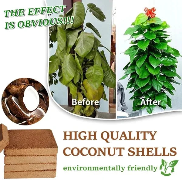 EcoBloom™ Premium Organic Coconut Bricks for Plants