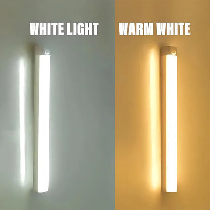 EcoLume™ Smart LED Motion Light