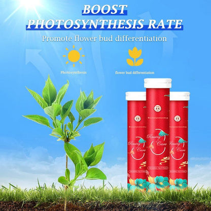 VegiBloom™ Natural tablets for growing plants