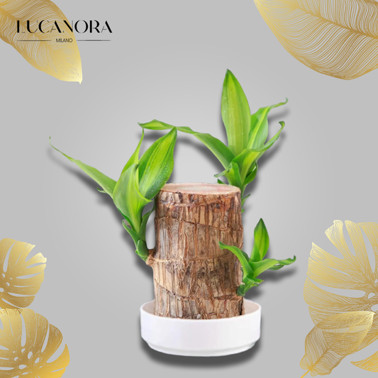 LuckyWood™ Wooden plant in a pot