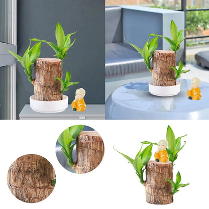 LuckyWood™ Wooden plant in a pot