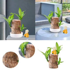 LuckyWood™ Wooden plant in a pot