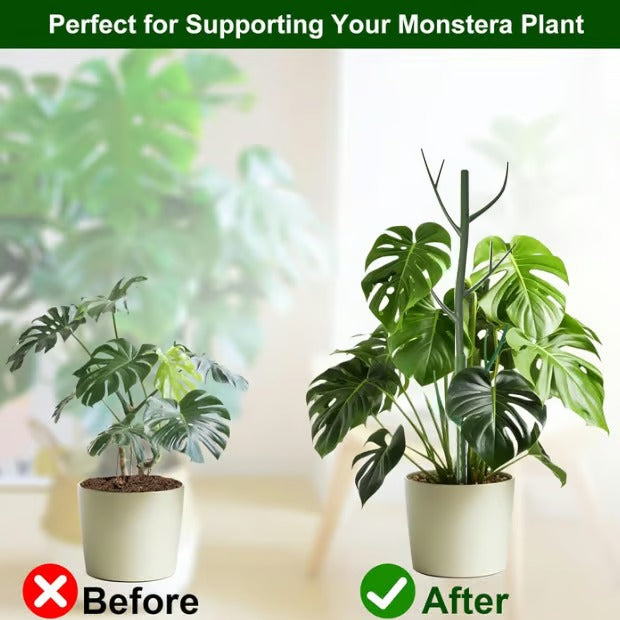 StemBrace™ Decorative Plant Support Stakes