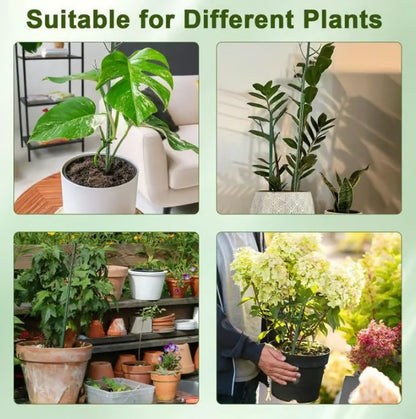 StemBrace™ Decorative Plant Support Stakes