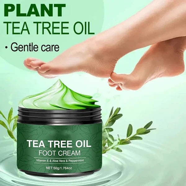 Alované Nourishing Foot Cream for Dry Skin - main product view of aloe vera and tea tree foot moisturizer