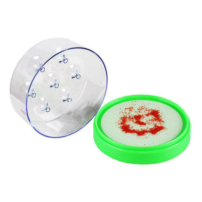 FlyAway Pro™ Reusable Fly Trap for Chemical-Free Homes
