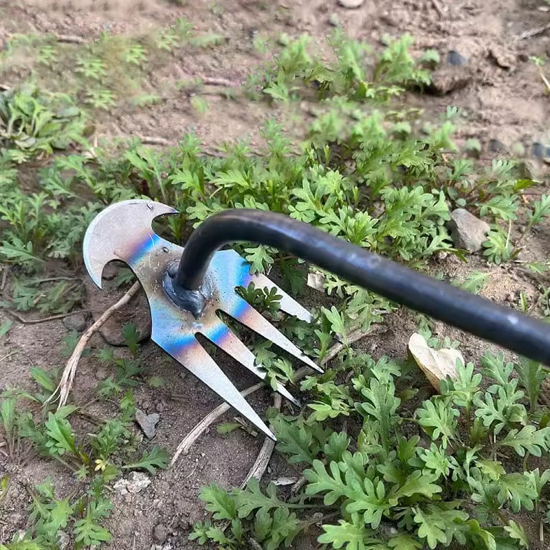 PurePluck™ Weed moth