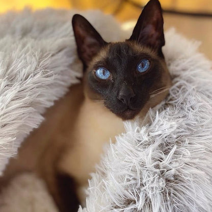 SnuggleNook™ Pet Bed